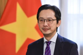 Vietnam contributes to common success of ASEAN - Japan summit: official