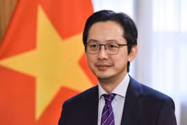 Vietnam contributes to common success of ASEAN - Japan summit: official