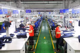 Singapore leads foreign investment in Vietnam 