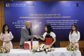 Vietnam, the Netherlands promote exports through digital environment