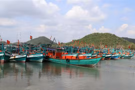 Vietnam issues plan of action, strives to put end to IUU fishing