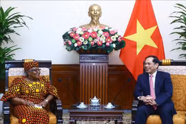 WTO Director-General hails Vietnam’s role at WTO