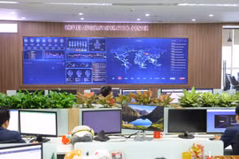 Big steps forwards taken in national digital transformation: Official
