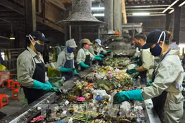 96% of urban household wastes to be safely processed in 2023