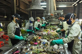 96% of urban household wastes to be safely processed in 2023