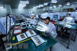 Vietnam remains stable destination for investors: Swiss fund 