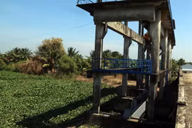 Saltwater intrusion forecast to come early in Mekong Delta