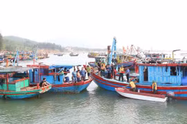 Ha Tinh cracks down on IUU fishing 