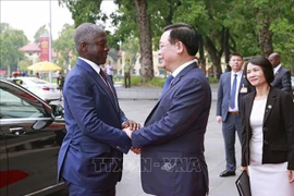 Côte d'Ivoire’s NA delegation concludes Vietnam visit