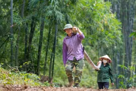 EU-funded project promotes sustainable clam, bamboo value chain in Vietnam
