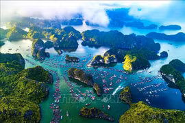 More efforts made to seek world heritage recognition for Ha Long Bay-Cat Ba Archipelago