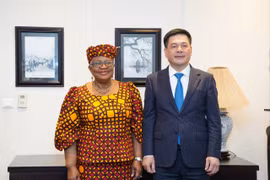 Vietnam, WTO agree to promote multilateral trading