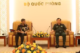 Vietnam, India look to enhance defence cooperation