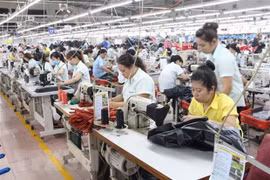 Vietnam joins “golden triangle of startups” in Southeast Asia: Hong Kong newspaper
