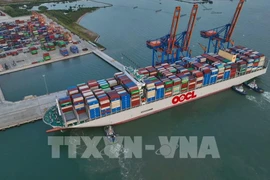 Vietnam’s seaport throughput rebounds in 10 months