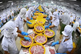Vietnam needs brand building to boost exports to CPTPP market