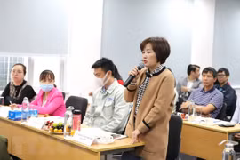 Japan-Vietnam business conference underway in Hai Phong