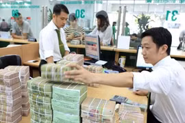 Nearly 33 trillion VND worth of G-bonds raised in January 