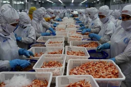 Shrimp exports to reach 3.4 billion USD in 2023: VASEP