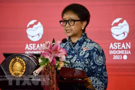 Indonesia stresses significance of Treaty of Amity and Cooperation in Southeast Asia