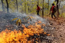 Thailand's northern provinces ordered to halt burning activities to combat PM2.5 pollution
