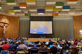 Vietnam emphasises necessity to completely eliminate nuclear weapons