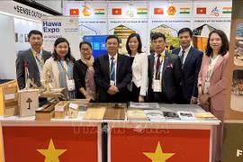 Vietnamese businesses updated on India’s new foreign trade policy