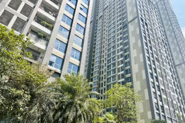 Real estate market needs credit solutions: experts