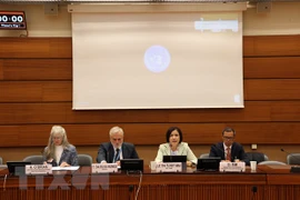 Vietnam attends quarterly meeting of ASEAN Committee in Geneva