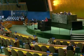 Vietnam underlines need to implement judgments by int’l judicial bodies