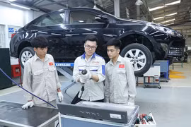 Positive signs from overseas labour market