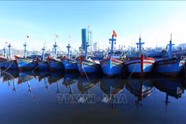 Binh Dinh takes drastic measures to fight IUU fishing