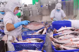 Fisheries exports estimated at 1.85 billion USD in Q1