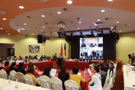 Overseas Vietnamese in Czech Republic promote solidarity