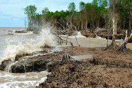 Salt water intrusion to Mekong estuaries forecast to increase in March