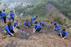 2023 International Youth Day: Training youths in green skills 