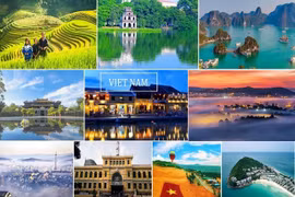 PM’s conclusions to draw foreign tourist arrivals released