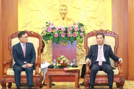 Vietnam views RoK as important, long-term strategic partner: Party official