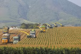 Private sector’s engagement needed for Vietnam to promote green growth: Experts