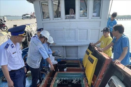 Ba Ria-Vung Tau: Ship owners violating vessel-monitoring-system rules fined over 3.6 billion VND