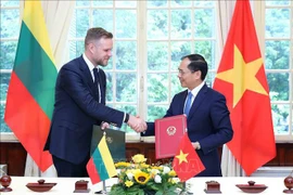 Vietnamese, Lithuanian FMs hold talks