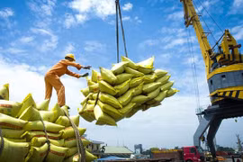 EU considered potential destination for Vietnamese rice