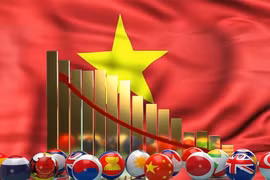 Vietnam to resume rapid economic growth over medium term: foreign media