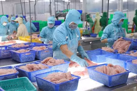 EVFTA opens door wider for Vietnamese goods to EU
