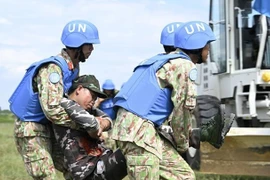Japan appreciates outcomes of CEPPP hosted by Vietnam