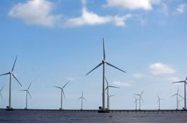 EU manufacturers eye offshore wind turbine plants in Vietnam 