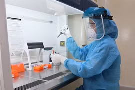 Int'l workshop on molecular diagnostics in microbiology, diseases held in Binh Dinh