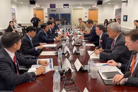 Vietnam, US hold annual defence policy dialogue