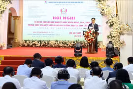 Vietnamese, Chinese provinces beef up cross-border trade
