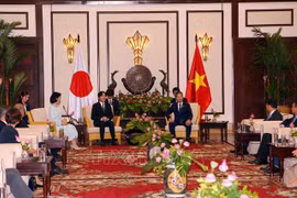 Da Nang leader hosts Japanese Crown Prince, Crown Princess